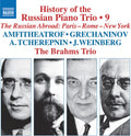 Brahms Trio - History Of The Russian Pno Trio Vol. 9 - Music CD