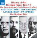 History Of The Russian Pno Trio Vol. 9 Music CD
