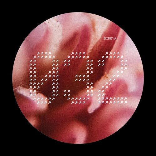 Nech032 / Various - Nech032 / Various - Vinyl Record