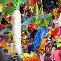 Jetski - Radiant Radish - Music CD