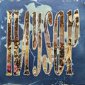 Haysop [LP] Vinyl Record