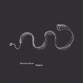 Deman,berlinde - Plank 9 - Music CD