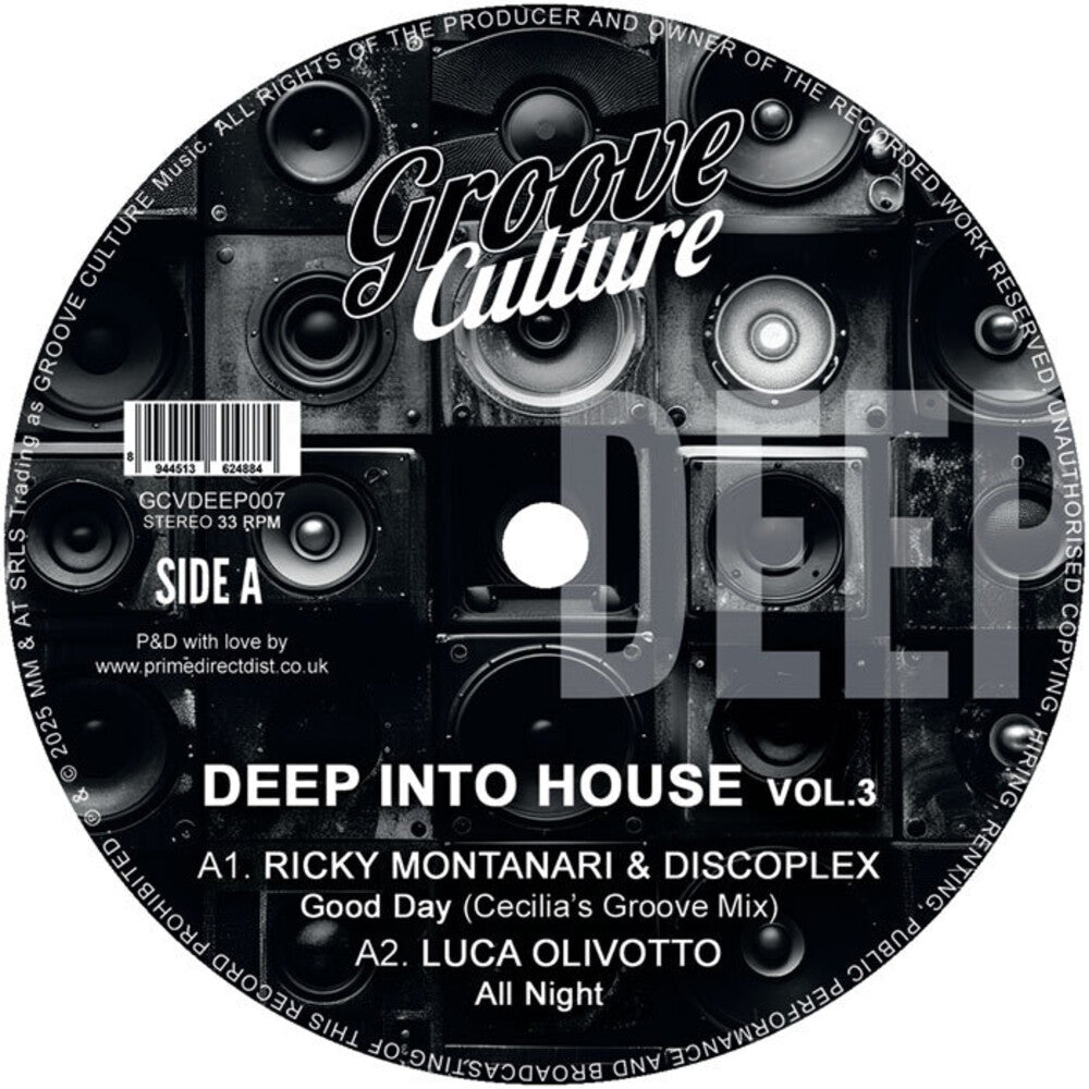 Deep Into House Vol. 3 / Various - Deep Into House Vol. 3 / Various [12" Vinyl]