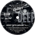 Deep Into House Vol. 3 / Various - Deep Into House Vol. 3 / Various - Vinyl Record