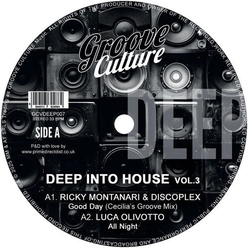 Deep Into House Vol. 3 / Various - Deep Into House Vol. 3 / Various - Vinyl Record
