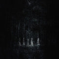 Pouya - Pouya [Charcoal/Black EcoMix]
