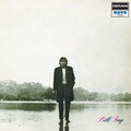 Fay,bill - Bill Fay - Vinyl Record