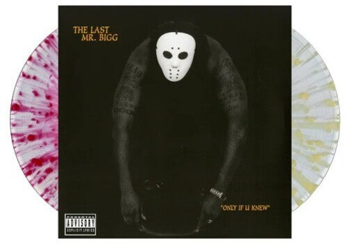 Last Mr Bigg - Only If U Knew - Vinyl Record