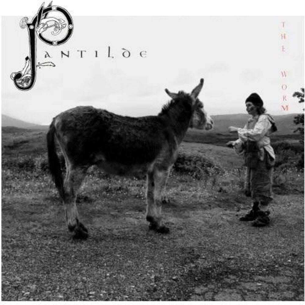 Pantilde [LP] Vinyl Record