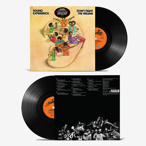 Sound Experience - Don't Fight The Feeling - Vinyl Record
