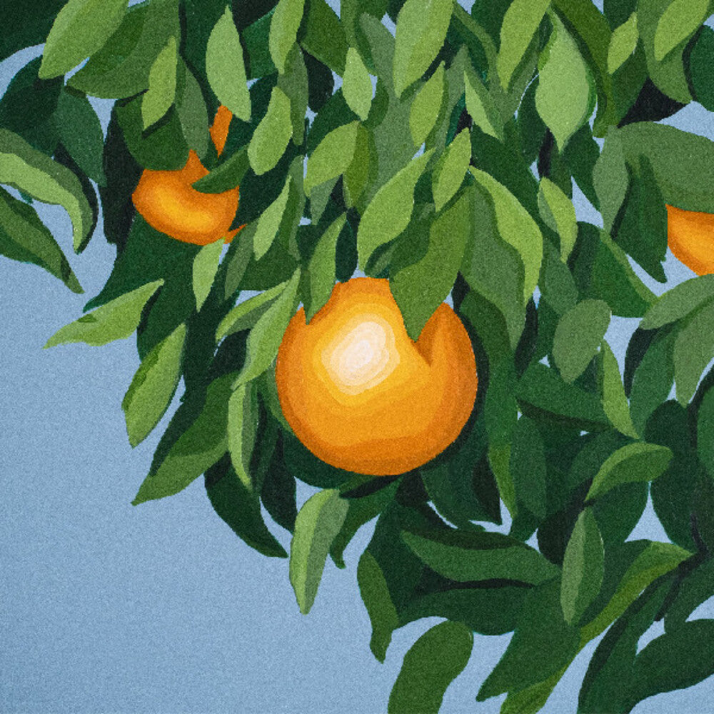 Tyler Ballgame - For The First Time Again [LP]