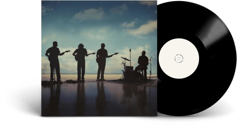 Fearless Flyers - Fearless Flyers V [LP]