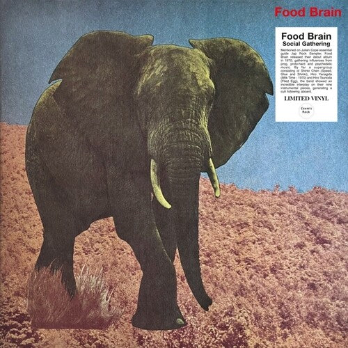 Food Brain - Social Gathering - Vinyl Record