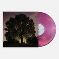 Tyler Ramsey / Carl Broemel - Celestun [Magenta Colored Vinyl]