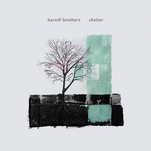 Barnill Brothers - Shelter - Vinyl Record