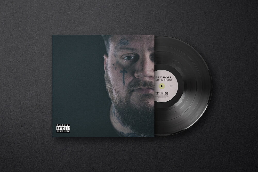 Beautiful Disaster [LP] Vinyl Record