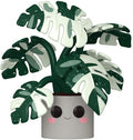 Pop Jumbo Flora - Pop Jumbo Flora Monstera - Collectibles