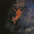 When I Sing I Slip Into Microphone Into That Void [LP] Vinyl Record