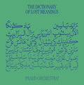 Dictionary Of Lost Meanings [LP] Vinyl Record