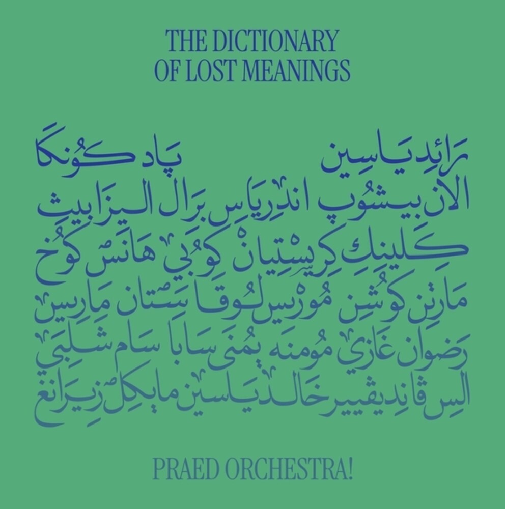 Dictionary Of Lost Meanings [LP] Vinyl Record