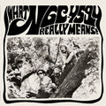 Ngc-4594 - What Ngc-4594 Really Means - Vinyl Record
