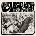 What Ngc-4594 Really Means [LP] Vinyl Record