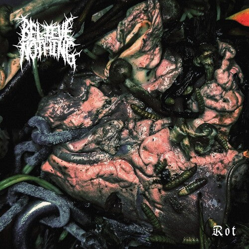 Believe In Nothing - Rot - Vinyl Record