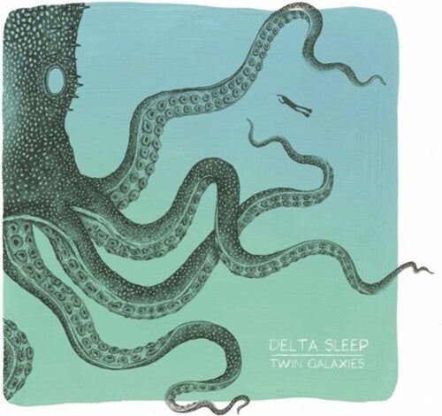 Delta Sleep - Twin Galaxies: 10 Year Anniversary - Vinyl Record