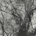 Grouper - Way Their Crept - Music CD