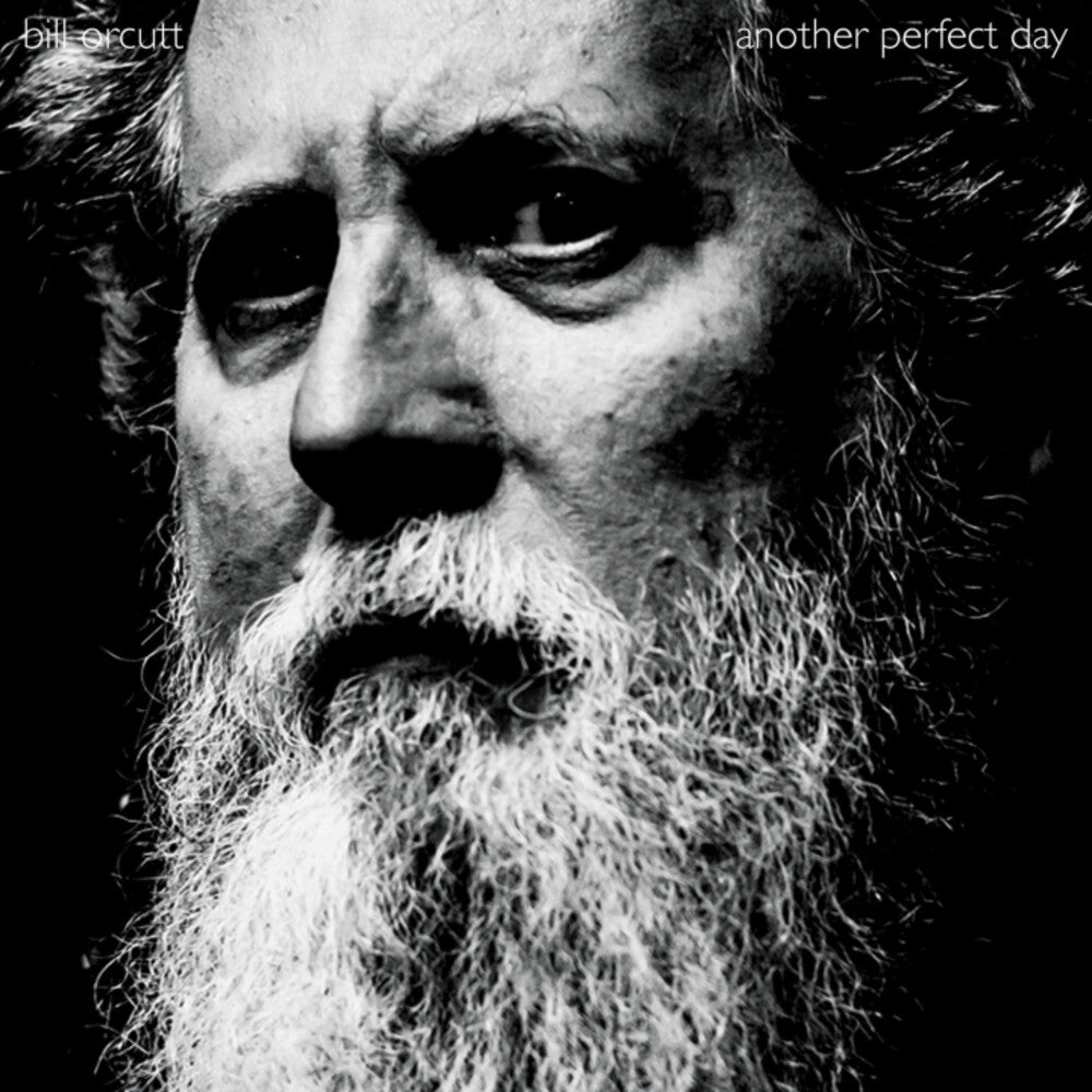 Another Perfect Day [LP] Vinyl Record