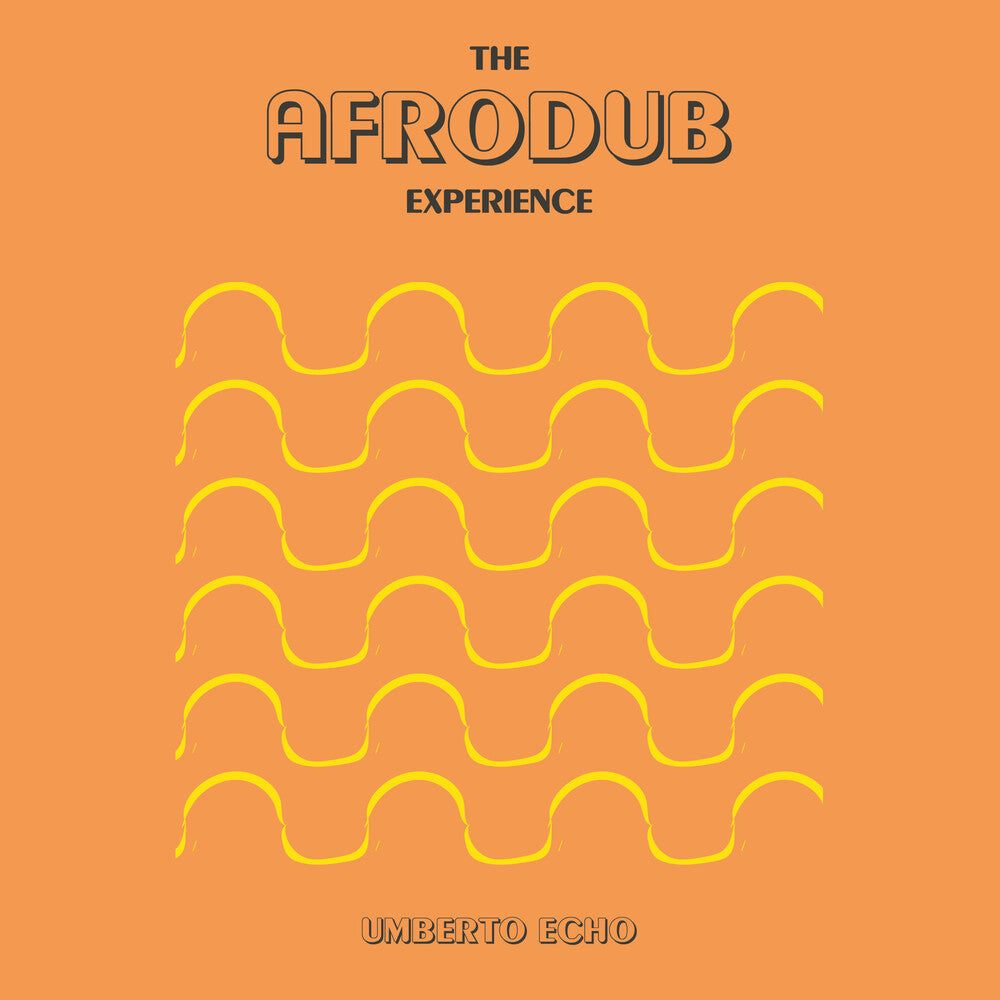 Afrodub Experience [LP] Vinyl Record