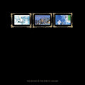 Return Of The Durutti Column (45th Anniversary Ed) [LP] Vinyl Record
