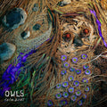 Rare Birds [LP] Vinyl Record