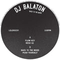 Dj Balaton - Back To The Mood - Vinyl Record
