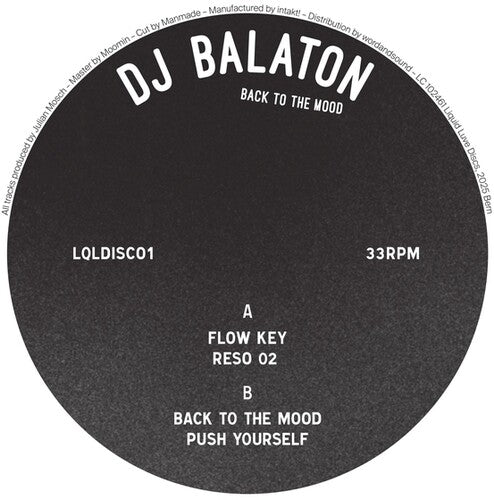Dj Balaton - Back To The Mood - Vinyl Record