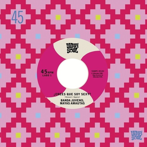 Banda Juvenil Mayas Amautas / Bravos Del Ande - Crees Que Soy Sexy / Travoltoso - Vinyl Record