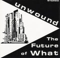 Unwound - Future Of What - Vinyl Record