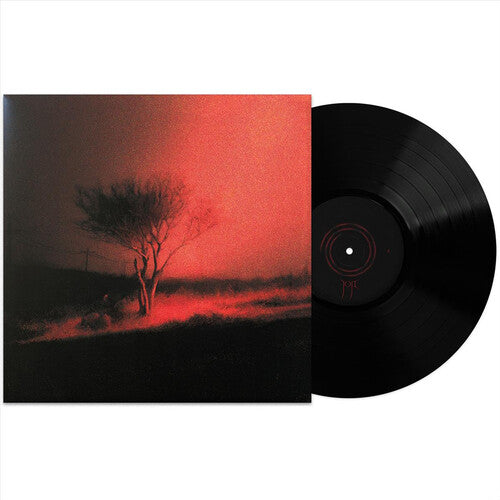 Joji - Piss In The Wind - Vinyl Record