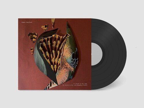 Hayford,james - Split - Vinyl Record