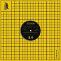 Synaptic Voyager - Rise - Vinyl Record