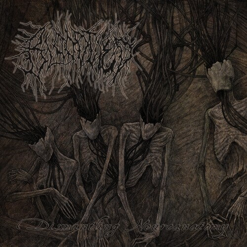 Bloodtied - Dismantling Neuroanatomy - Music CD