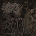Dismantling Neuroanatomy Music CD