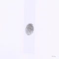 S H I N E [White Colored Vinyl] Vinyl Record