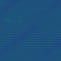 Florian Hecker - Natural Selection [CD]