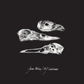 Molina,jason / Mj Lenderman - Last Three Human Words (demo) / Just Be Simple - Vinyl Record