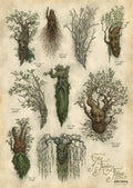 Art Print - Ent's Of Fangorn Forest - Art Print - Ent's Of Fangorn Forest - Collectibles