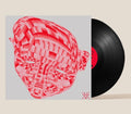 Gala I Ovidio - Un Final Que Parece Un Principio - Vinyl Record