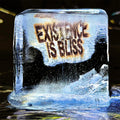 Deadletter - Existence Is Bliss - Vinyl Record