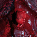 Not Here Not Gone [Red] Vinyl Record