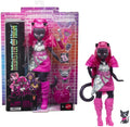 Monster High - Monster High Student Catty - Collectibles